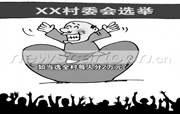 2009年全国有许多地方进行村委会换届选举,不
