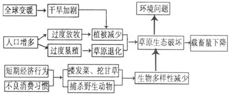 荒漠化是在包括气候变异和人类活动在内的多种