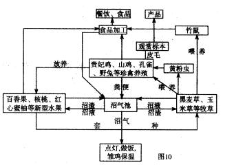 耕地机_东北地区人均耕地