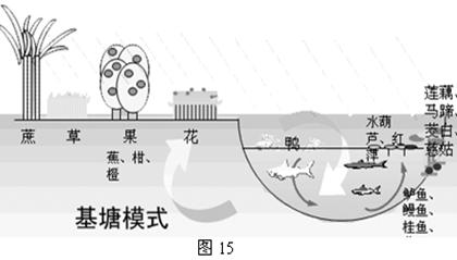 中国耕地面积红线_中国人均耕地面积排行(3)