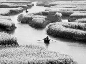 图为中国某区域耕作农业景观示意图。读图,回