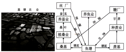 【小题4】来,珠江三角洲基塘农业生产发生巨大变化的要原因是