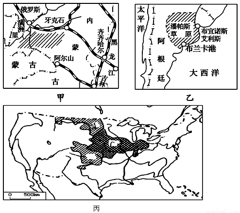 橡胶树原产于巴西亚马逊河流域马拉岳西部地区