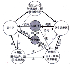 下面为某乡镇生态农业循环示意图。读图可知