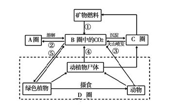 在地理环境形成和演变中的作用(如生物)知识点 "图为"碳循环示意图"