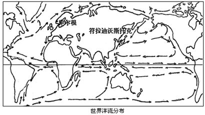 读世界洋流分布图,分析回答下列问题:(11分)