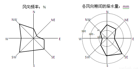 图为某城市的风向玫瑰图和降水量与风向关系图