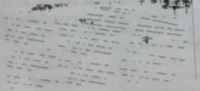 池上碧苔三四点,_。(晏殊《破阵子》)⑷ 李白 在