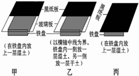 鼠妇喜欢生活在阴暗潮湿的环境中,影响它生活