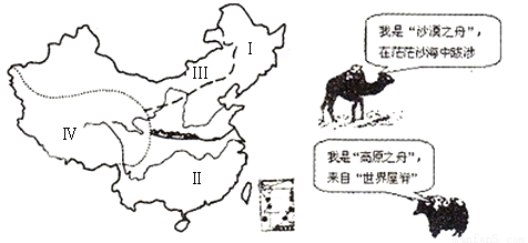 读中国四大地理区域的划分图,完成下列问题。