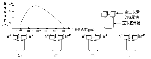 请根据下列两则材料回答问题:材料一:舞蹈《千