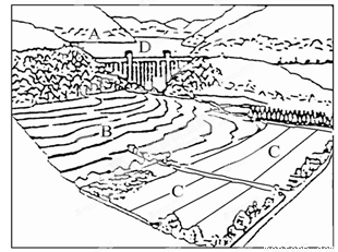 下图为我国局部地区油料作物分布示意图。据此