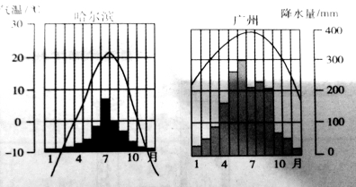 读哈尔滨、广州气温曲线和降水量柱状图,回答