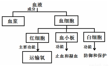(5分)以下是科学家测试人体不同器官在休息及