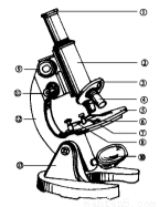 如图是某同学在显微镜下观察到的人口腔上皮细
