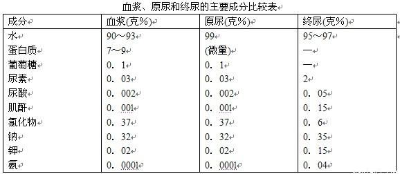 原尿中不含有大分子的蛋白质 (2)样品a尿与样品b血浆相比,由于肾小管