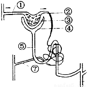 生体检时的血检结果统计【其中<em>白细胞正常值</em>为