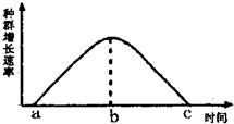 mvh00001381.png