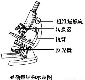 显微镜使用方法 tac00007330.png