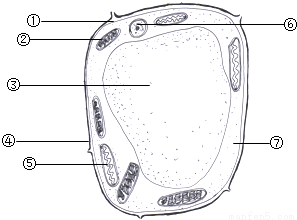 tac00005088.png