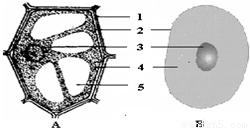 yjs00006947.png