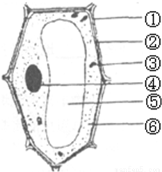 yjs00006987.png