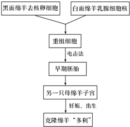 vkq00024220.png