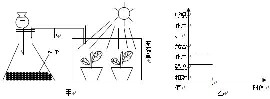在温度等适宜条件下,某植物单位时间内CO2释