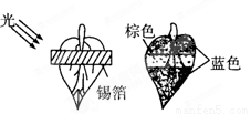 yjs00015361.png