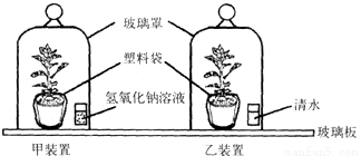 tac00002501.png