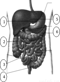 yjs00009564.png