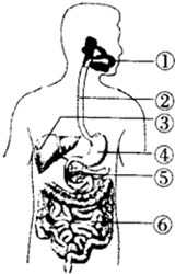 vkq00027271.png