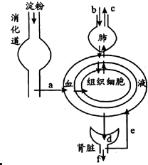 vkq00004262.png