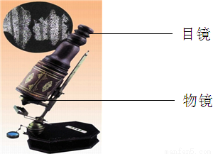 如图是显微镜视野中人血涂片示意图,请回答相