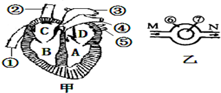 lok00000941.png
