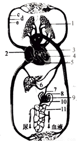 yjs00040157.png