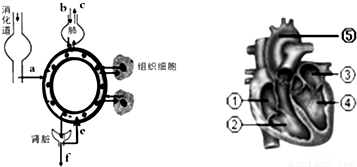 yjs00040870.png