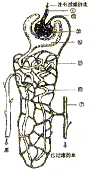 vkq00004408.png