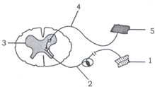 bgi00000764.png