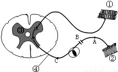 tac00012297.png