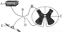 yjs00005406.png