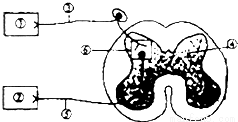 yjs00032505.png