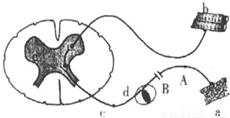 yjs00040716.png
