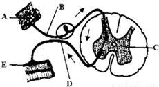 yjs00041307.png