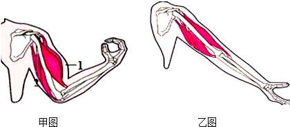 vkq00007941.png