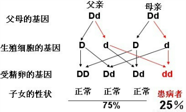 家族中的遗传病 yjs00041180.png