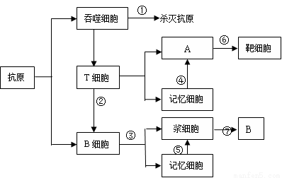 jvq00015132.png