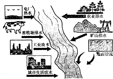 oko00014657.png