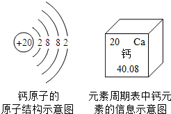 oko00014411.png