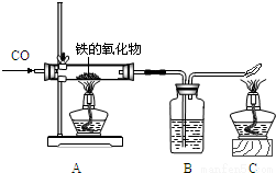 1966什么原理试验_抗体释放试验原理(3)